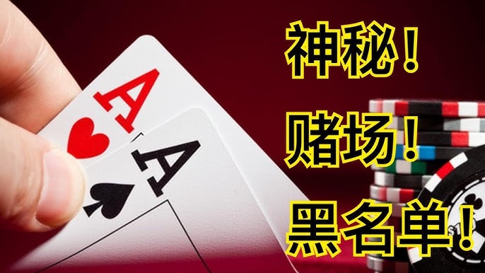 淑女派对MG电子攻略，轻松获取高倍奖励-白嫖彩金网-白嫖论坛-白菜论坛