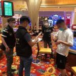 梯子游戏长龙与短龙玩法策略探讨-白嫖彩金网-白嫖论坛-白菜论坛