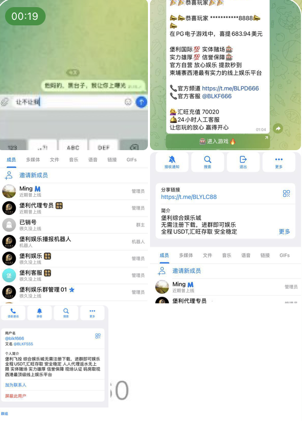 7ae97f8d4020260517093418